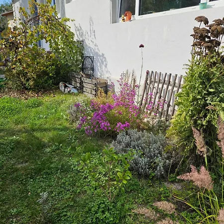 Am Tennisplatz Appartement